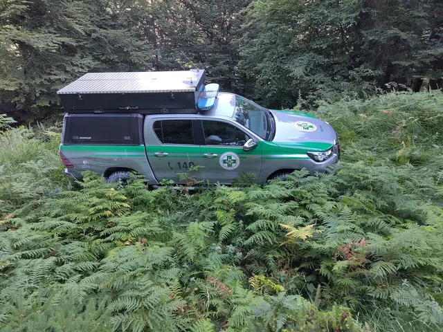 Der 48-Jährige sei von der Bergrettung Eisenkappel unverletzt ins Tal verbracht worden. (Archiv- und Symbolfoto) | Foto: Bergrettung Villach