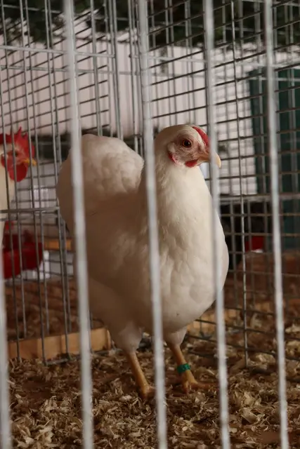 Foto: Alejandra Ortiz