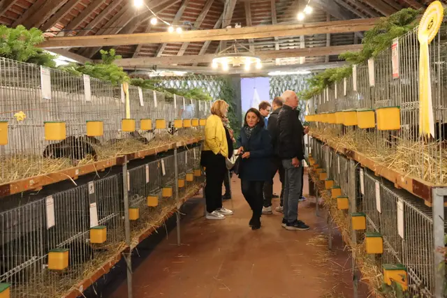 Foto: Alejandra Ortiz