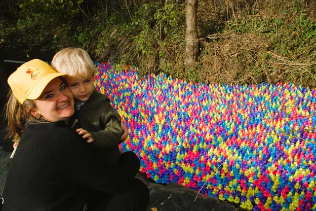 Dieses Entenrennen sorgte für ein farbenfrohes Fest in St Margarethen an der Raab 