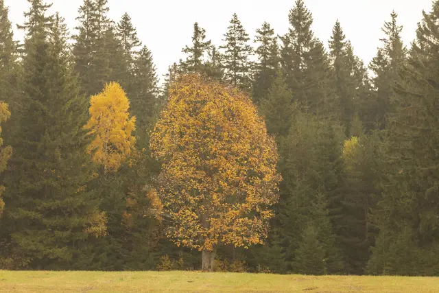 Foto: FBF-Fabian Bleier Fotografie