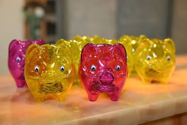 Die Sparschweine stehen bereit. | Foto: Anita Hartleb