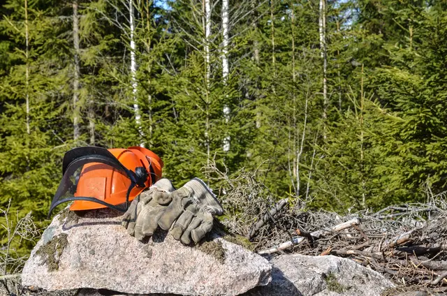 Bei Forstarbeiten in Gnas verletzte sich ein Südoststeirer schwer. | Foto: panthermedia/olandsfokus