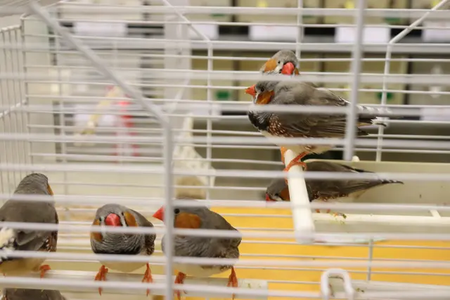 Foto: Alejandra Ortiz