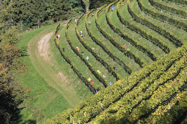 Foto: runningLeibnitz