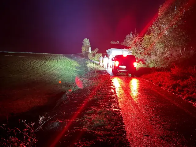 Einsatz bei der Biogasanlage in Raabs | Foto: FF Raabs