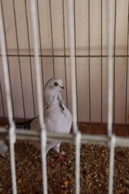 Foto: Alejandra Ortiz