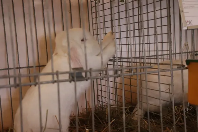 Foto: Alejandra Ortiz