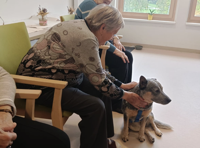 Schon beim ersten Kennenlernen zeigten sich viele neugierig und offen für die neue Erfahrung.