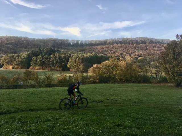 Der Herbst lässt sich im Wienerwald auch mit dem Fahrrad genießen. | Foto: Seebacher