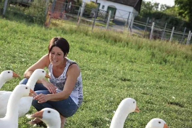 Petra Schreiber selbst verkauft ihre Gänse sowohl an die Gastronomie als auch an Kunden in Wien. | Foto: Petra Schreiber