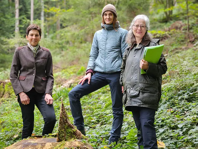 Andrea Schwarzmann (LFI Vorarlberg), Tamara Eckhart (Waldaufseherin) und Sylvia Rickmann (Vorarlberger Waldverein) (von links). | Foto: LK Vbg.