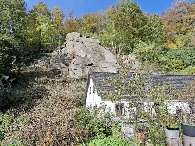 Die Felsformation zwischen Donauuferbahn und B3 ließ der Greiner Kulturwissenschaftler und Historiker Dr.  Karl Hohensinner von einem Kletter-Spezialisten von Bäumen, Sträuchern und Gestrüpp befreien. | Foto: Zinterhof