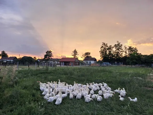 Foto: Petra Schreiber