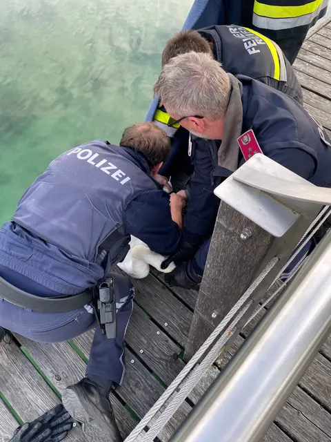 Foto: Feuerwehr Reifnitz