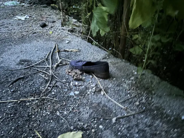 Foto: Luca Arztmann/MeinBezirk