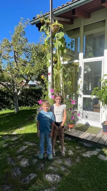 Ingeborg Strobl hat mit ihrer 4,32 Meter hohen Sonnenblume den Landessieg geholt. | Foto: Grünes Tirol