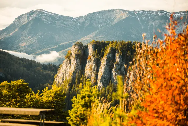 Herbsttage in der wunderbaren Natur kann man beim Wandern auf der Rax verbringen. | Foto: wieneralpen_fueloep