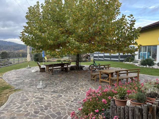 Foto: MeinBezirk/Robert Glinik