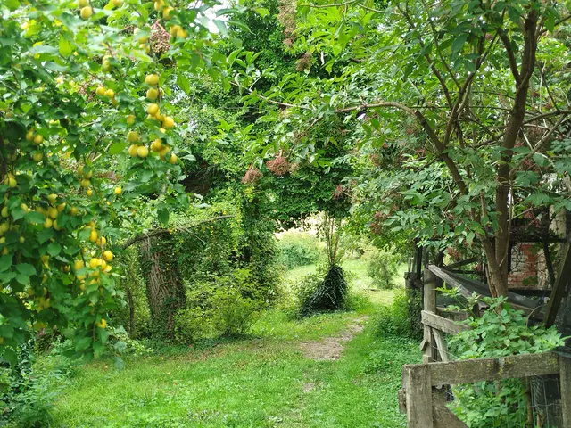 So stellen Sie sich ihren Garten vor? Dann handeln Sie noch bis 2. November! | Foto: Elisabeth Karner