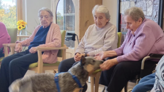 Die Ankunft des Therapiehundes wurde von den Bewohnern mit großer Spannung erwartet. 