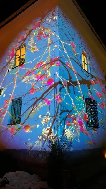 Der Lichterpfad ist an sechs Wochenenden im Dezember und Jänner zu erleben. | Foto: Daniel Scheidgen