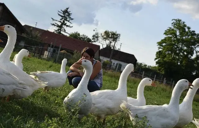 Foto: Petra Schreiber