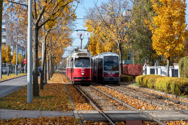 Ein Gleisschaden sorgt am Dienstagvormittag für größere Einschränkungen im Straßenbahnverkehr im Flächenbezirk Floridsdorf. (Archiv) | Foto: Manfred Helmer/Wiener Linien