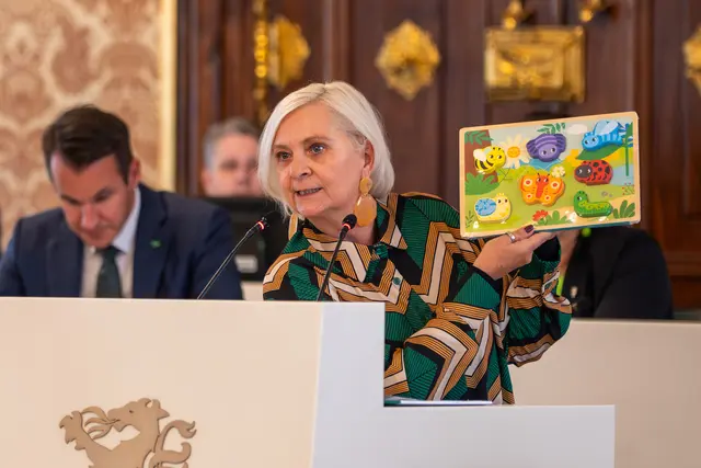 Claudia Klimt-Weithaler von der KPÖ stellt klar: "Ein Landeshaushalt ist kein Privathaushalt." | Foto: KPÖ