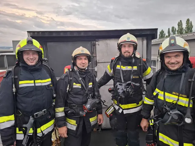 Die Feuerwehr ist eines der wichtigsten Ehrenämtern im Bezirk Tulln. | Foto: Ploiner