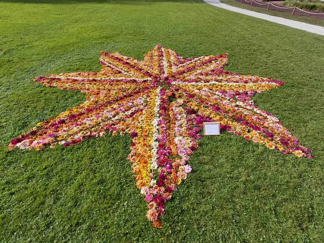 Ein Blumenstern | Foto: H.Bachinger