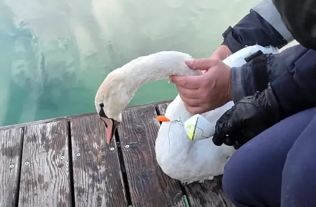 Foto: Feuerwehr Reifnitz