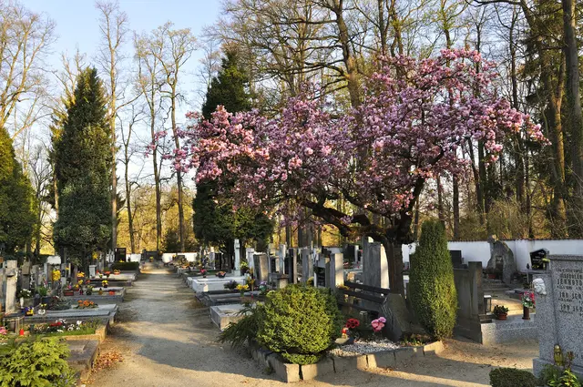 Stirbt ein Angehöriger, sind zahlreiche Aufgaben und Formalitäten zu erledigen – eine Belastung in einer schwierigen psychischen Situation. | Foto: panthermedia