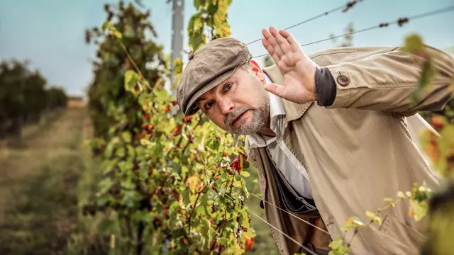 Bis zu 1,025 Millionen Zuschauer sahen gestern die TV-Premiere der "Uhudler-Verschwörung" mit Schauspieler und Kabarettist Thomas Stipsits im ORF. | Foto: ORF/Mona-Film/Landsiedl/Herbig
