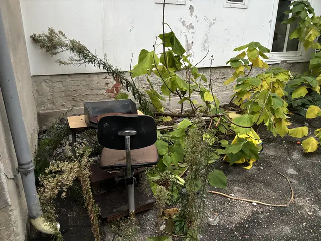 Foto: Luca Arztmann/MeinBezirk