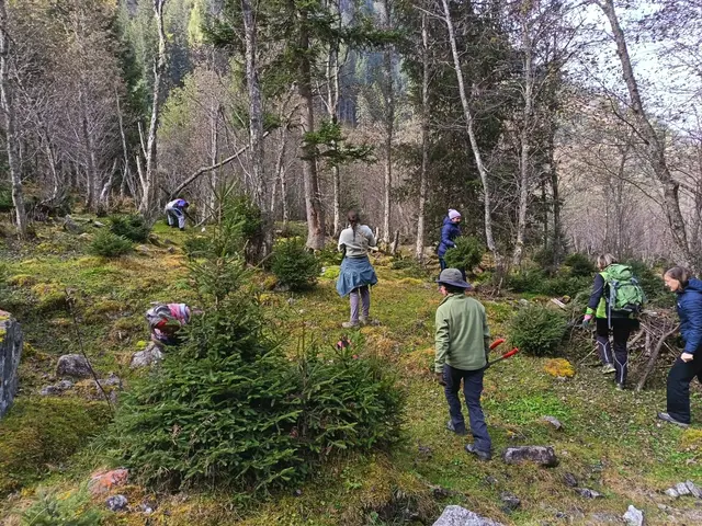 Viele Freiwillige waren einem Aufruf der Schule der Alm zum Schwenden von Fichten im Grauerlenwald in Vals gefolgt. | Foto: Juliane Streicher/Schule der Alm