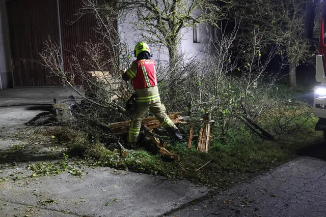 Foto: laumat.at/Matthias Lauber