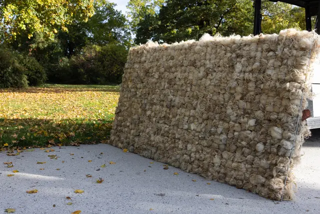 Die rohe, unbearbeitete Wolle wird per Hand in ein Metallgitter eingewebt. | Foto: koernoe/Esel