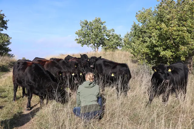 Foto: Barbara Babonitsch-Diewald