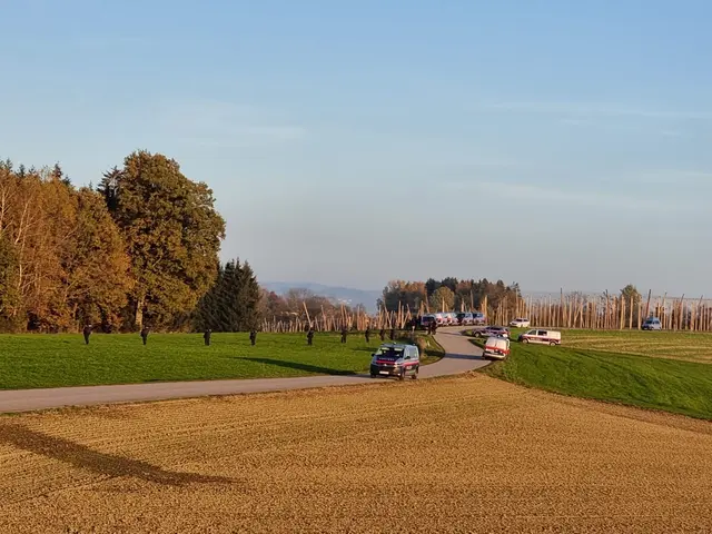 Am 1. November 2024 wurde das Waldstück in Partenreit von einem Großaufgebot der Polizei umstellt. | Foto: MB