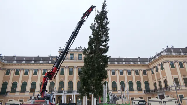 Foto: Andreas Pölzl/MeinBezirk
