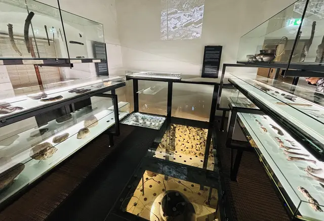 Foto: Nikolaus Kogler