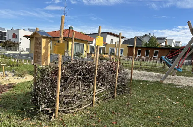 Diese Totholzhecke bietet Lebensraum für Insekten, Käfer, Spinnen, Asseln und Amphibien.  | Foto: Barbara Babonitsch-Diewald