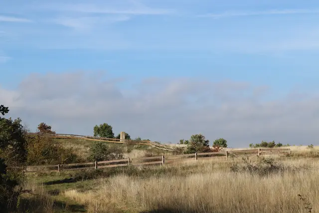 Das Areal wurde eingezäunt, wobei Wege für Besucherinnen und Besucher ausgelassen wurden.  | Foto: Barbara Babonitsch-Diewald