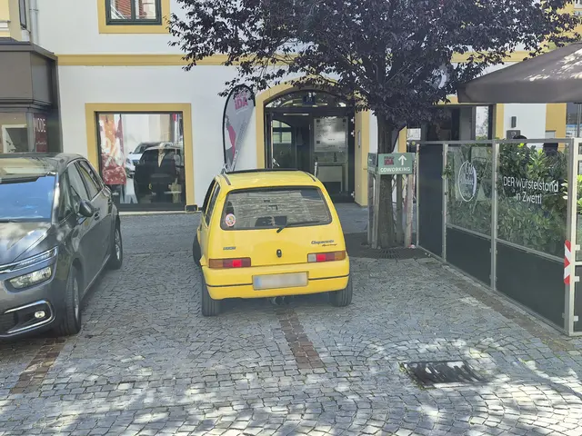 Ein MeinBezirk-Leser übermittelte der Redaktion am 25. August 2025 diesen Kunstparker in der Zwettler Innenstadt. | Foto: privat