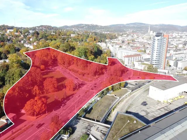 In diesem Areal sollen rund 240 Bäume – davon etwa 90 mit einem Stammdurchmesser von mehr als 60 Zentimetern – gefällt werden.  | Foto: Linzplus