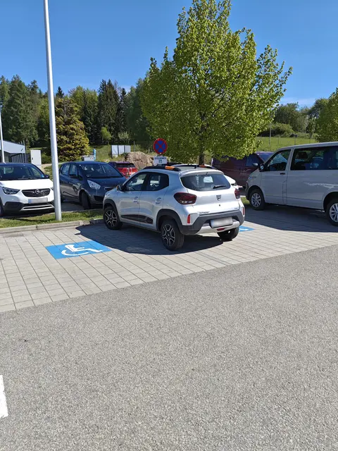 Dieser Kunstparker benötigt gleich zwei Behindertenparkplätze auf einer Fläche vor einem Supermarkt in Groß Gerungs. Aufgenommen von einem MeinBezirk-Leser im August 2025. | Foto: privat