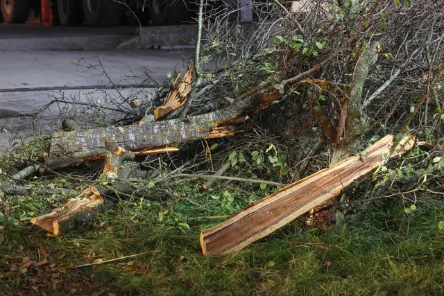 Foto: laumat.at/Matthias Lauber