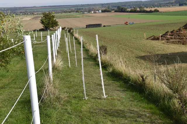 Dietmar Lindau hat auf dem schmalen Streifen seines Grundstücks die Stellen markiert, wo er die Massengräber vermutet. | Foto: Michael Strini