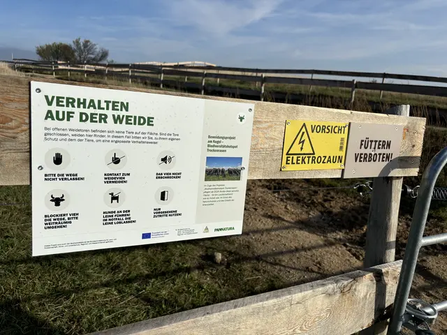 Foto: Barbara Babonitsch-Diewald